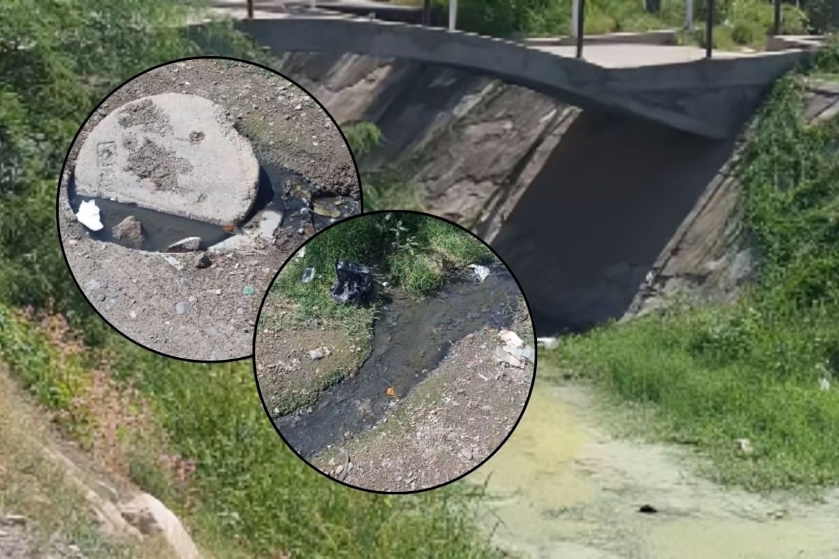 Vecinos de Coloso Bajo enfrentan plagas por fugas de drenaje y apagones constantes