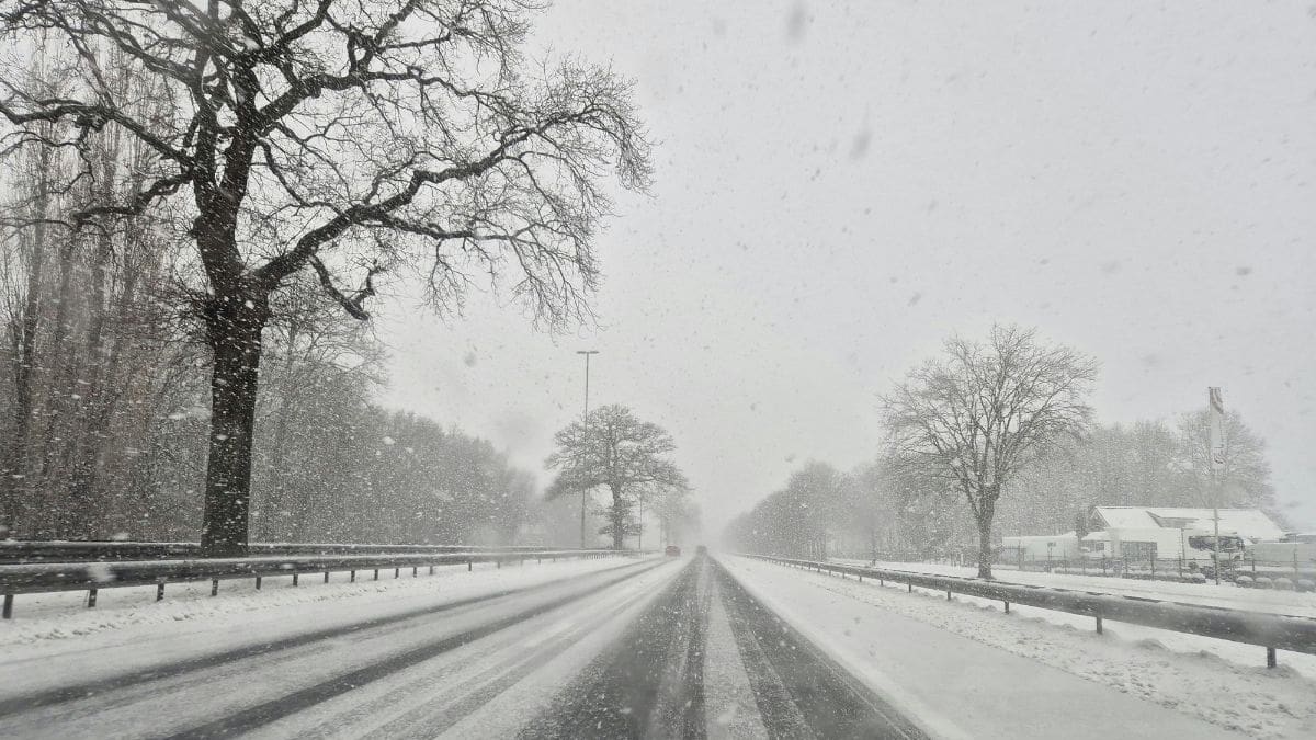 “La peor tormenta en décadas”: 54 millones bajo alerta, Nueva York cierra calles y puentes y 11 estados declaran emergencia por tormenta invernal