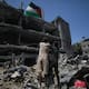 Portugal anuncia reconocimiento oficial del Estado de Palestina en asamblea de la ONU este domingo