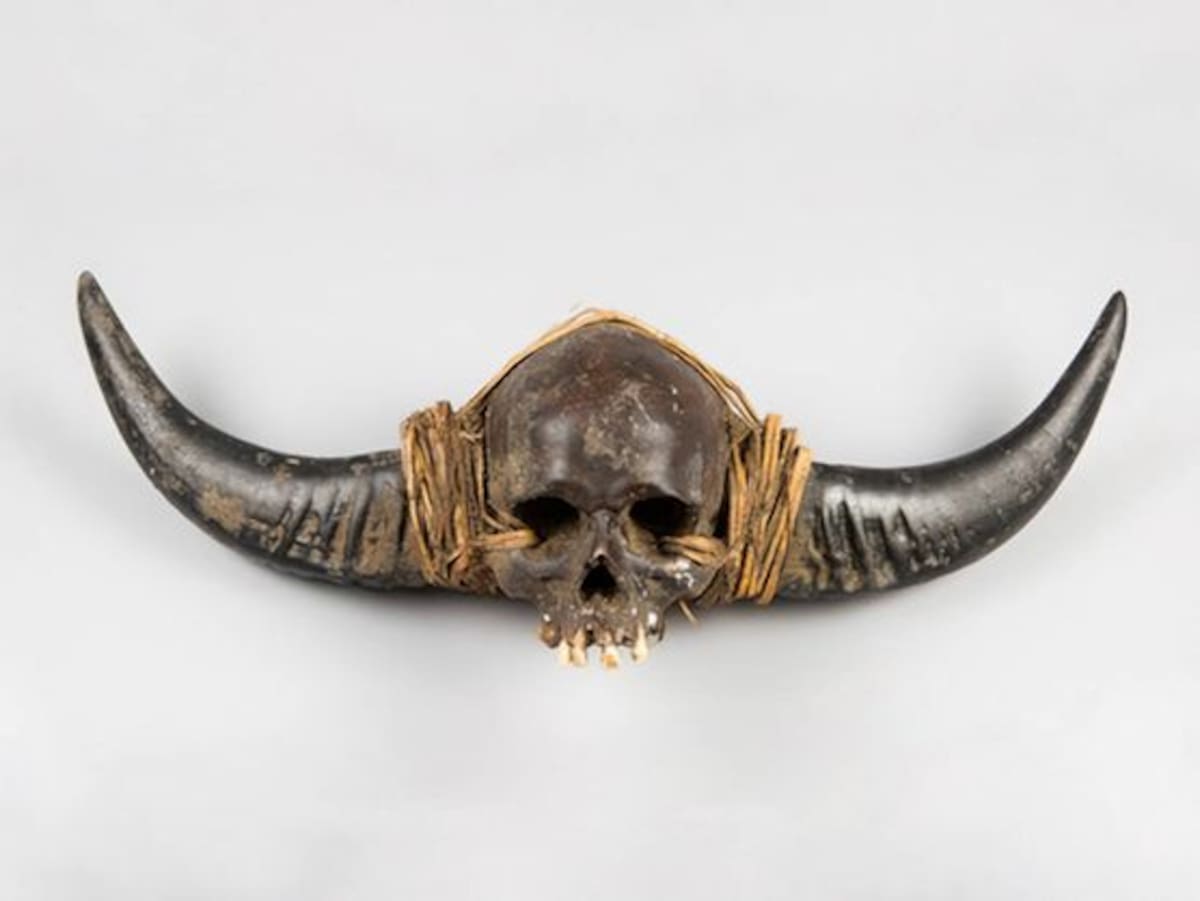 Este era uno de los cráneos que iban a subastar.