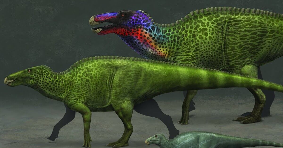 Descubren en Estados Unidos “momias” de dinosaurios con pezuñas: un hallazgo sin precedentes