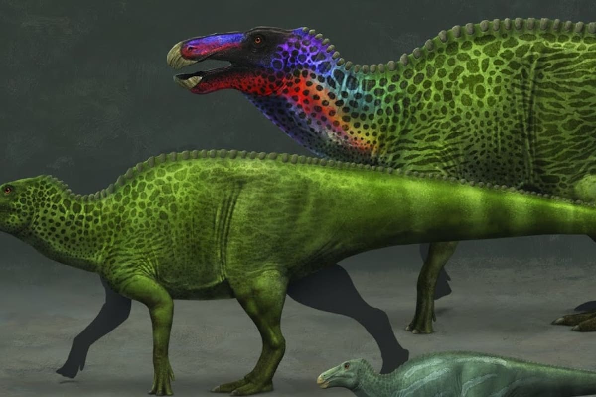 Descubren en Estados Unidos “momias” de dinosaurios con pezuñas: un hallazgo sin precedentes