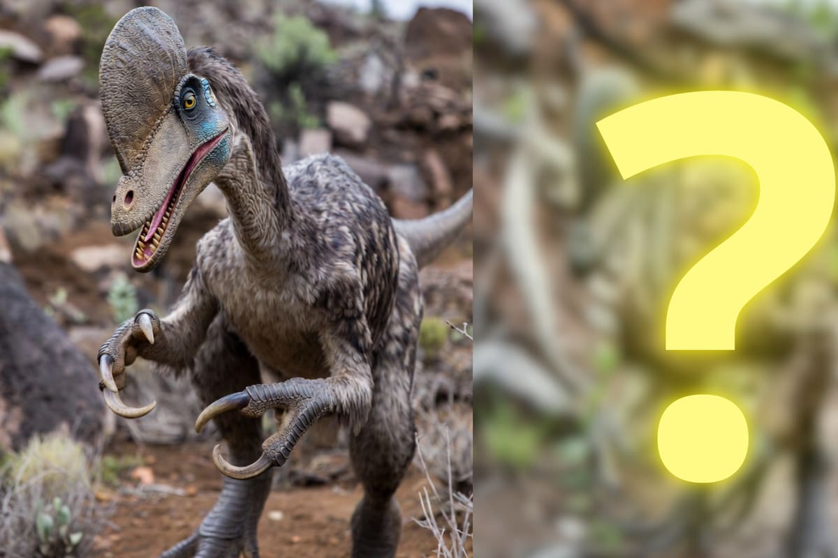 Descubren en Coahuila un nuevo dinosaurio carnívoro del Cretácico Tardío