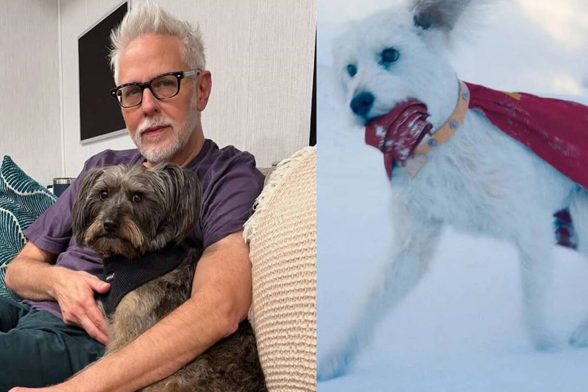 Perrito de James Gunn reacciona a Krypto en adelanto de ‘Superman’