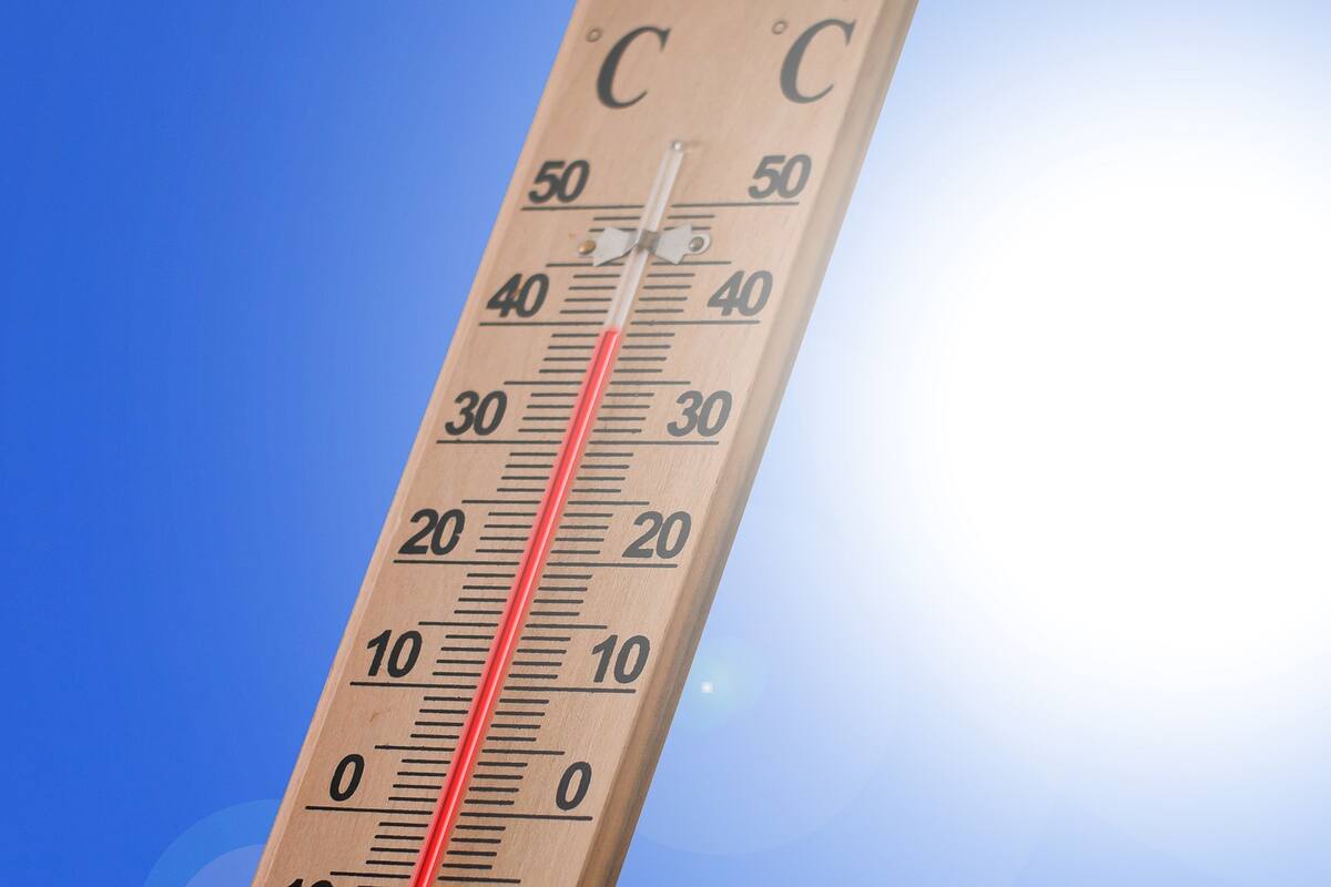 Ola de calor o clima extremo: ¿Qué temperaturas son riesgosas para las personas?