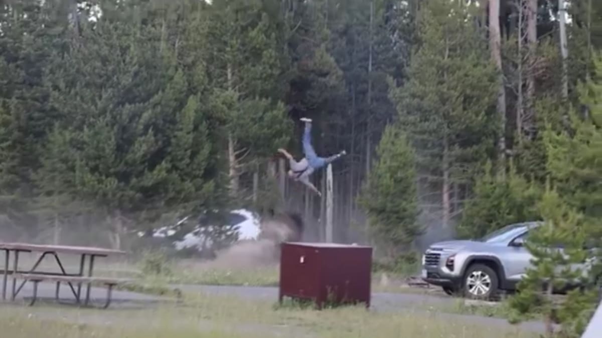 ¿Cómo se encuentra el turista que fue embestido por un bisonte en Yellowstone? Esto es lo que se sabe