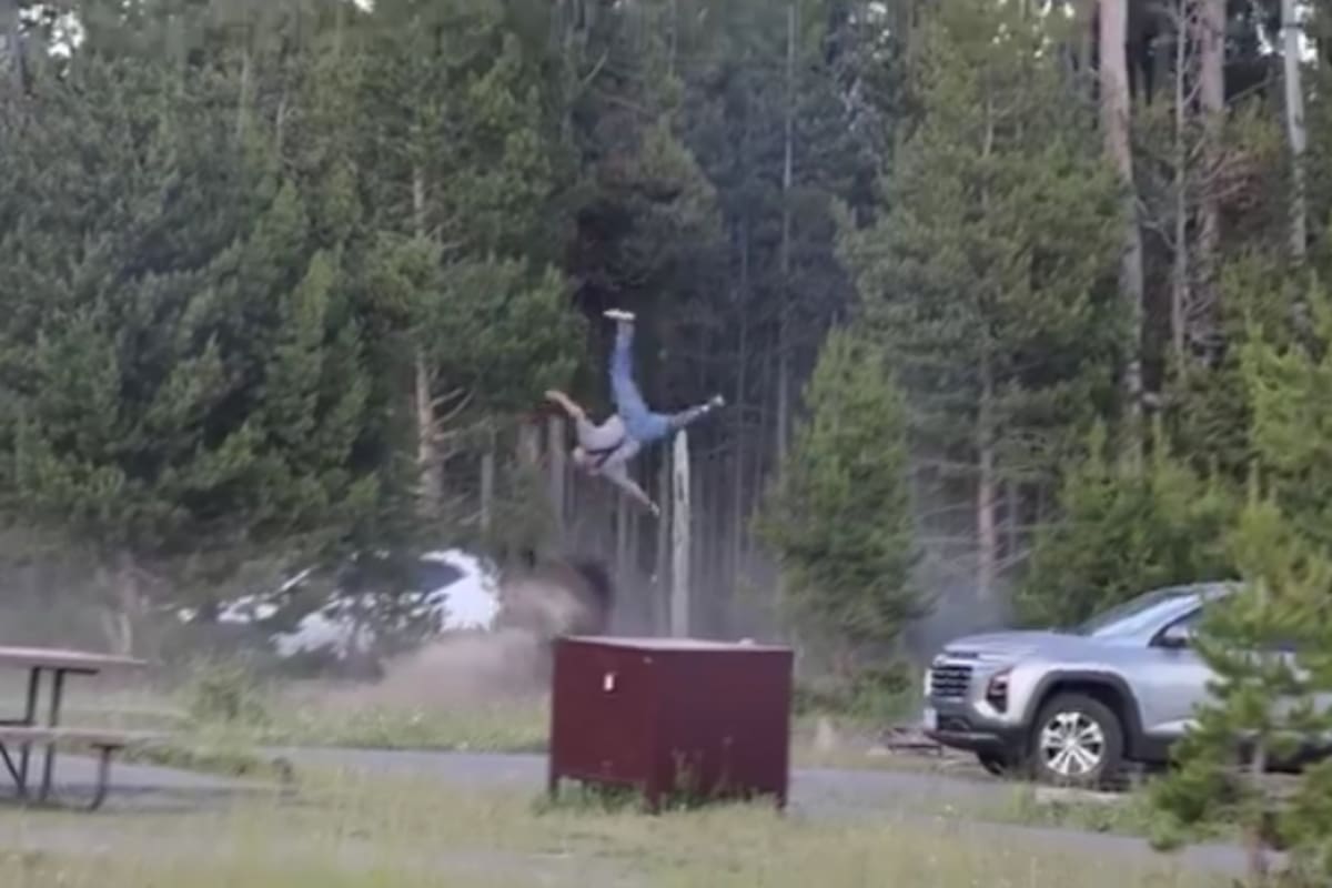 ¿Cómo se encuentra el turista que fue embestido por un bisonte en Yellowstone? Esto es lo que se sabe