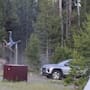 ¿Cómo se encuentra el turista que fue embestido por un bisonte en Yellowstone? Esto es lo que se sabe