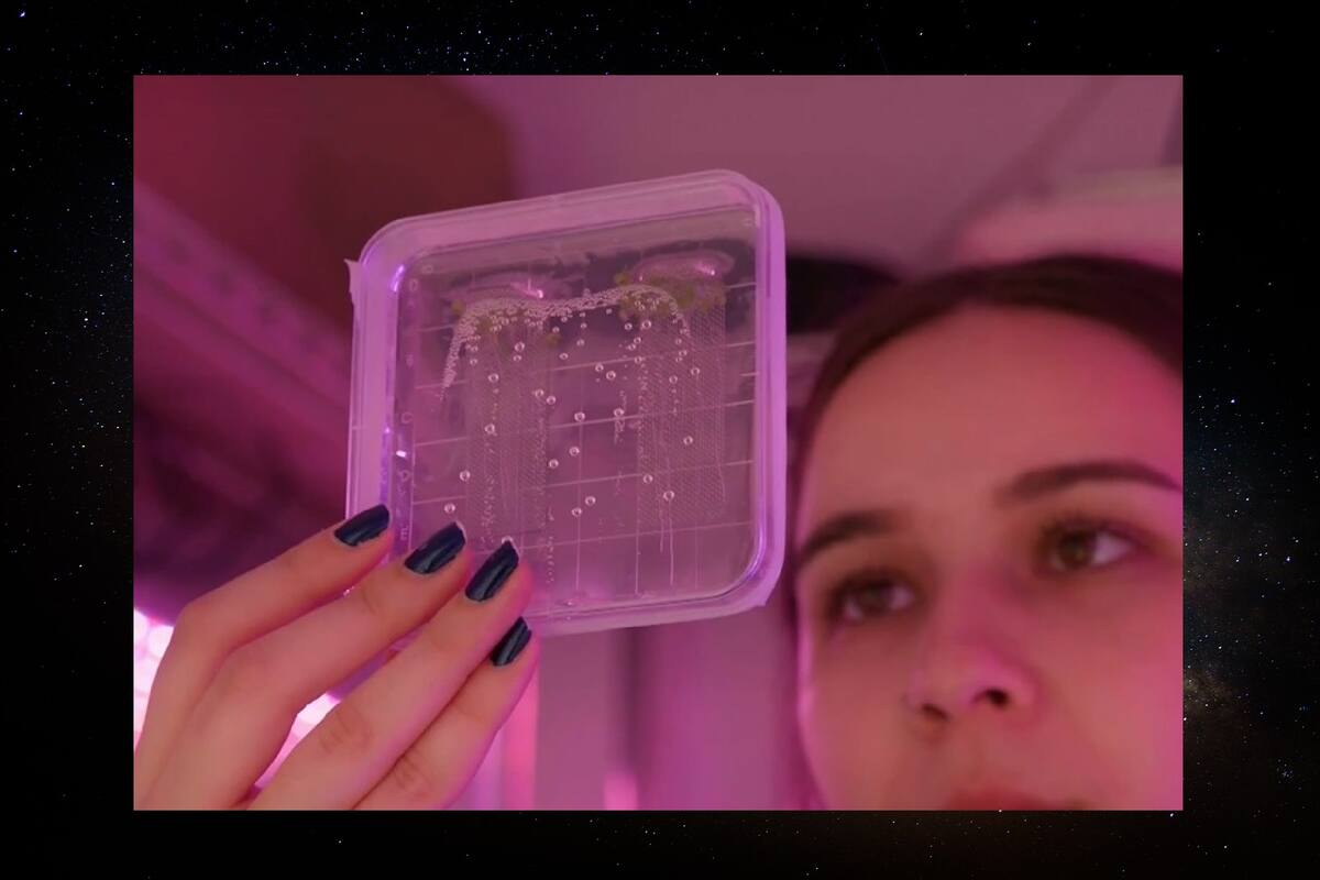 Científico analizará la conducta de las plantas en un viaje al espacio