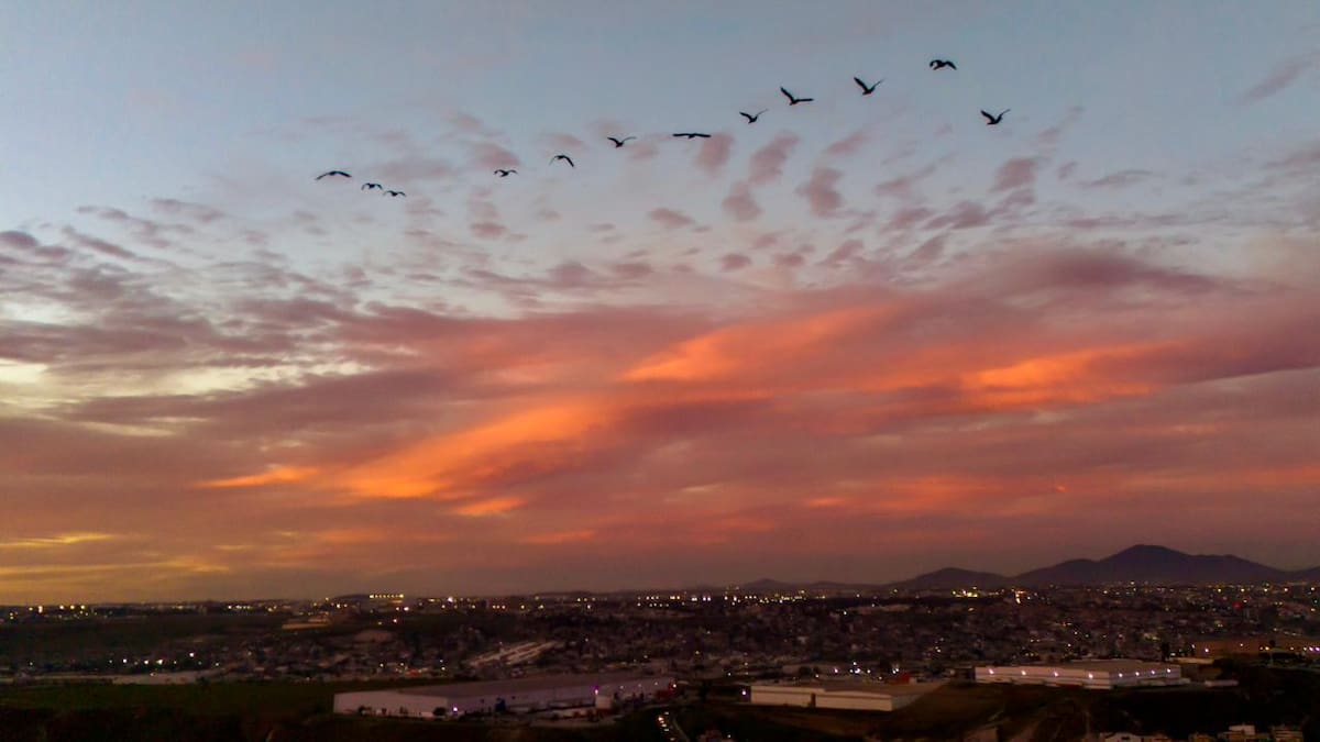 Un cielo teñido de tonos pasteles se observó este martes 27 de enero durante un colorido atardecer de invierno en la ciudad fronteriza.
Foto: BorderZoom