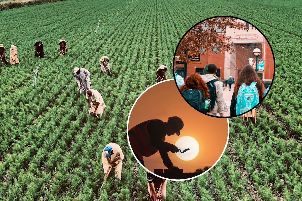 Florida busca flexibilizar las leyes de trabajo infantil ante la escasez de mano de obra