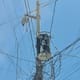 Vecinos alertan por presuntas conexiones irregulares de luz en Chulavista 2 de SLRC