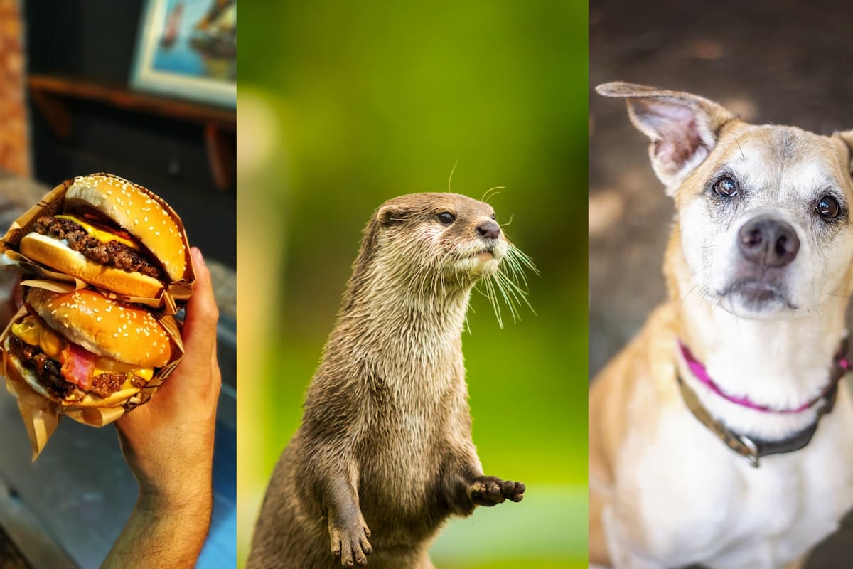 Efemérides del 28 de mayo: ¿Qué pasó un día como hoy?
