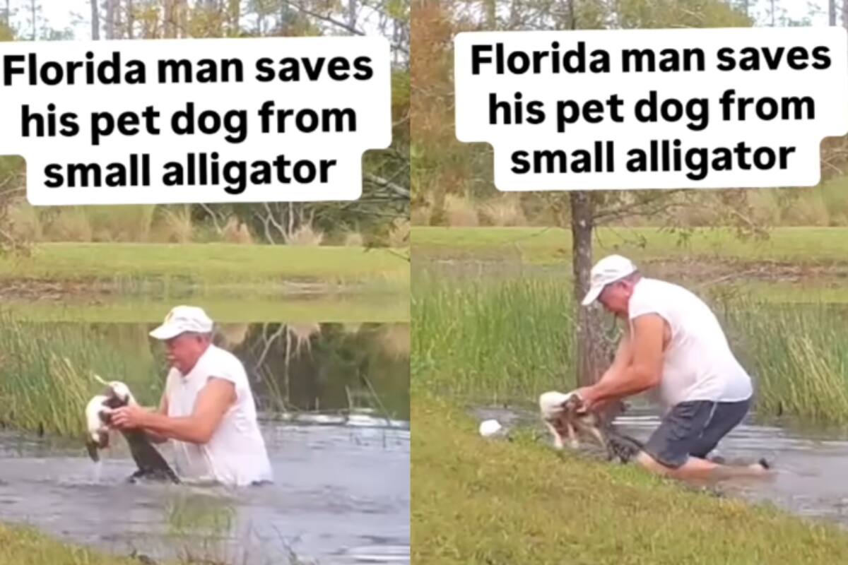 Hombre es captado salvando a su perro de ser devorado y ahogado por un lagarto en un lago