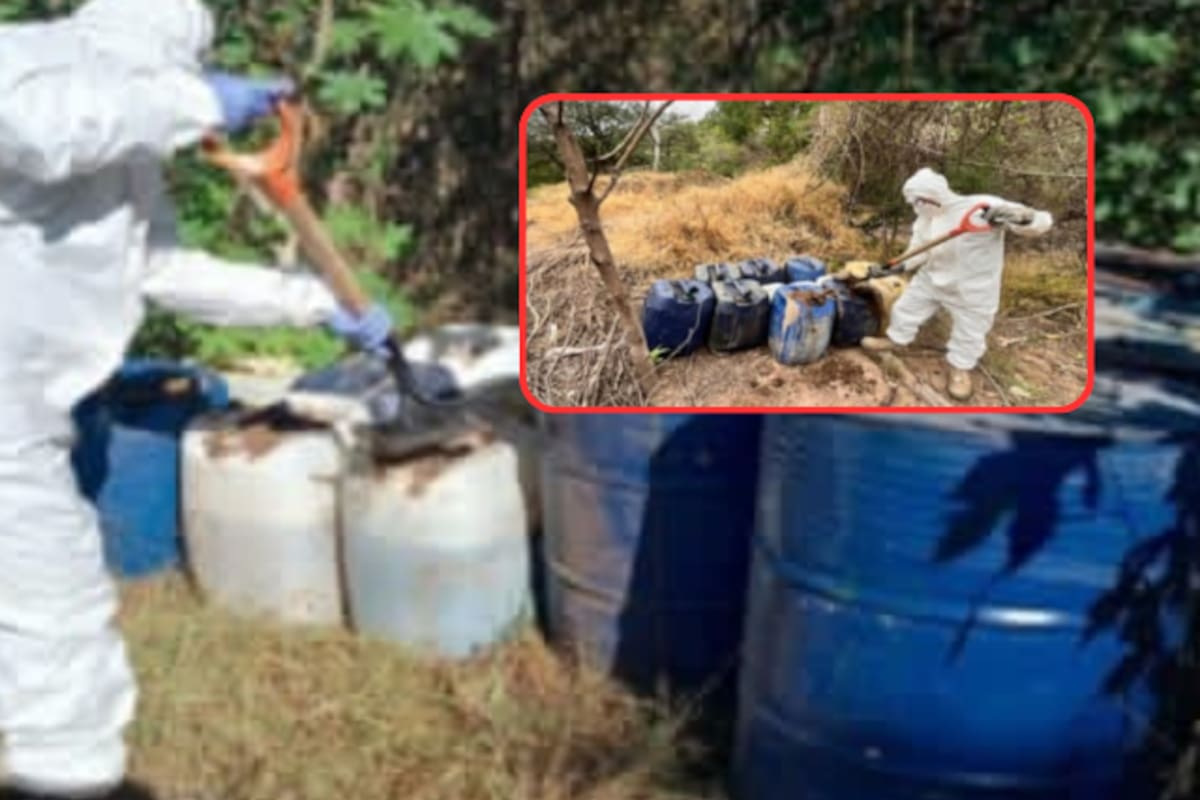 Aseguran más de 7,000 litros de químicos peligrosos en Culiacán, Cosalá y Mocorito: fuerzas federales destruyen 6 áreas clandestinas