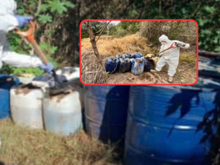 Aseguran más de 7,000 litros de químicos peligrosos en Culiacán, Cosalá y Mocorito: fuerzas federales destruyen 6 áreas clandestinas