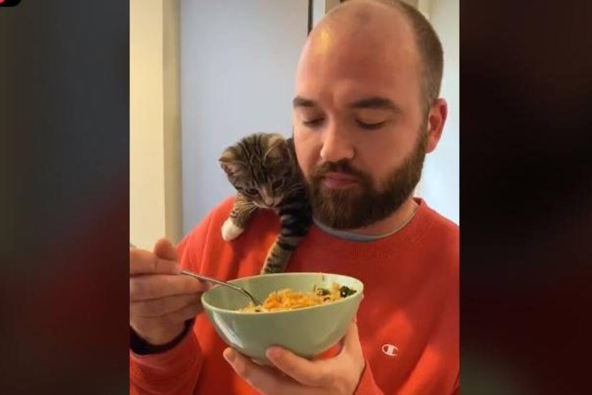 VIRAL: Gatito le pide cereal a su dueño