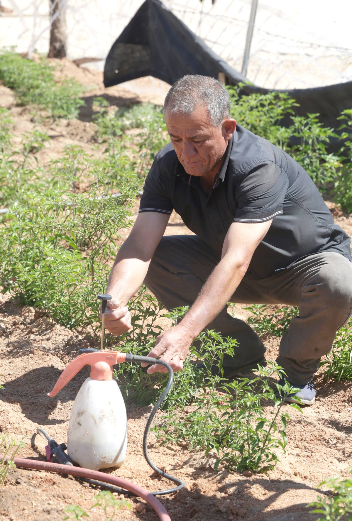 Óscar Villa Murrieta cuida que las plantas se mantengan libres de plagas.