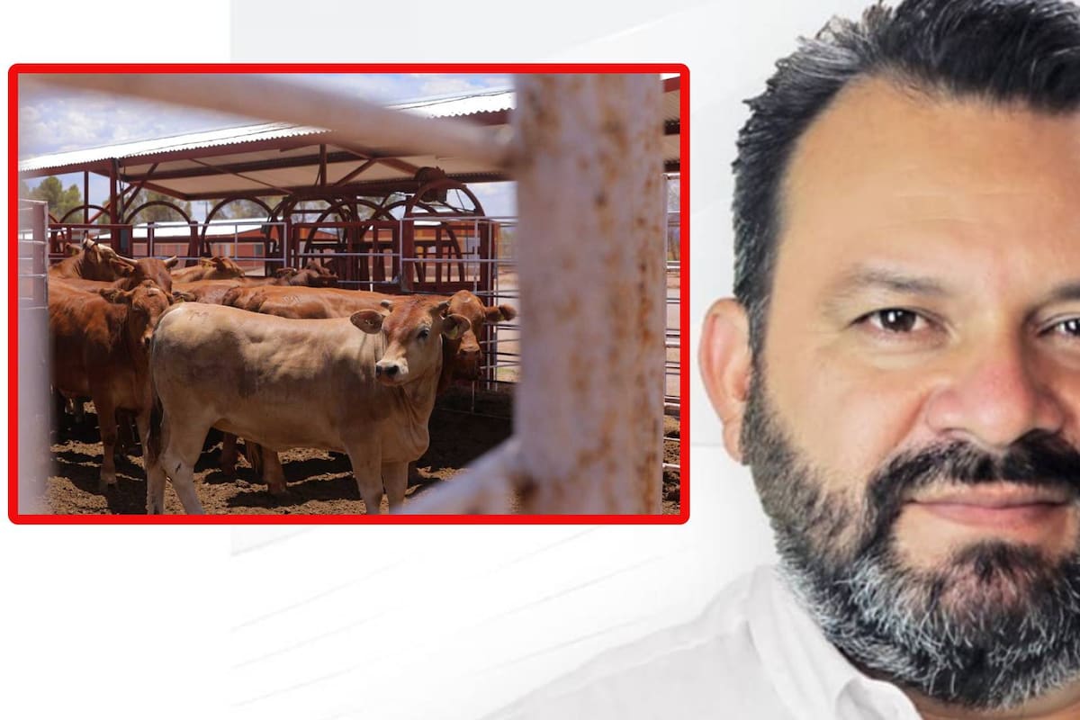 En Yucatán, detienen a un exalcalde por presunto robo de ganado