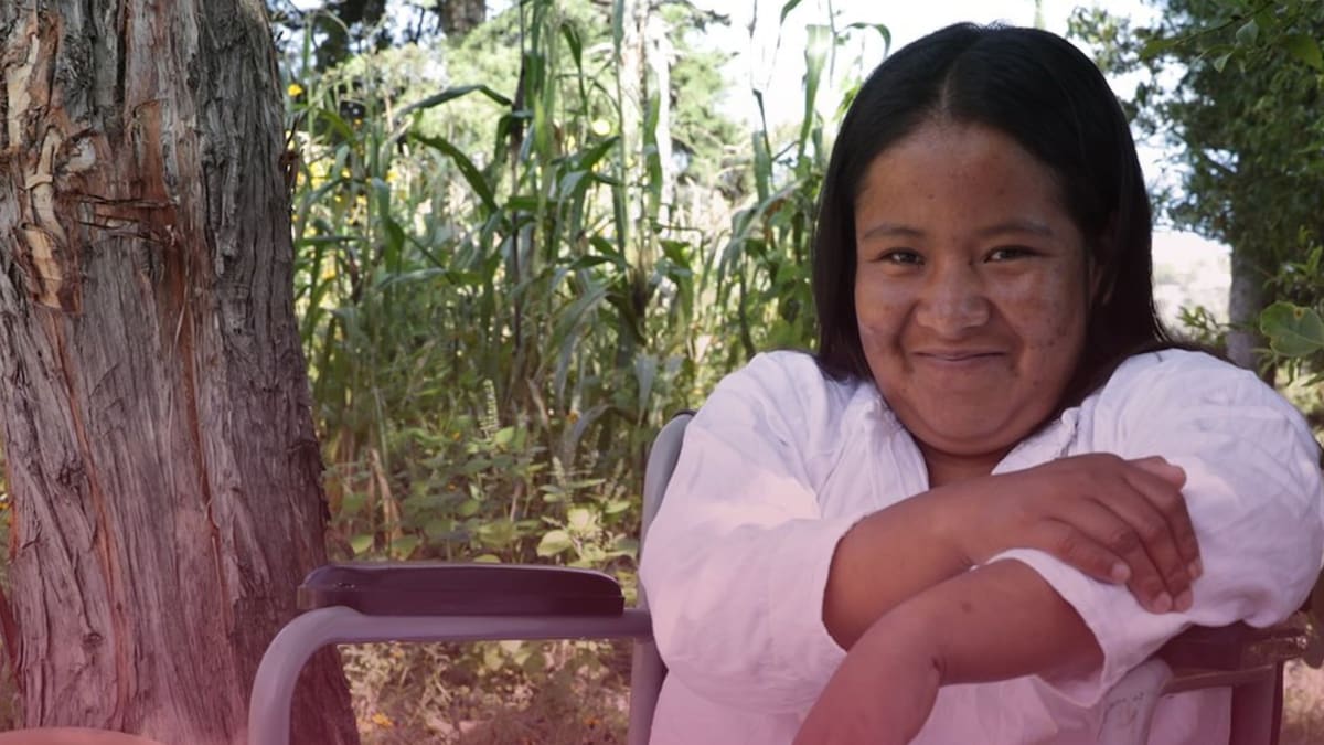 Cómo saber si fuiste aceptado en la Pensión del Bienestar para Personas con Discapacidad 2026 y consulta los pasos para verificar el depósito de 3,300 pesos en el Padrón Único de Beneficiarios