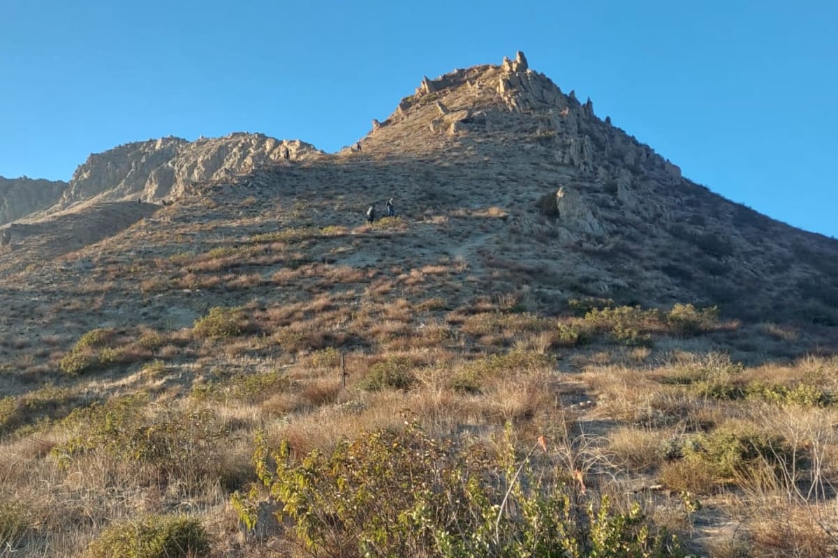 Restos hallados en cerro Coronel son de Martha Molina: FGE