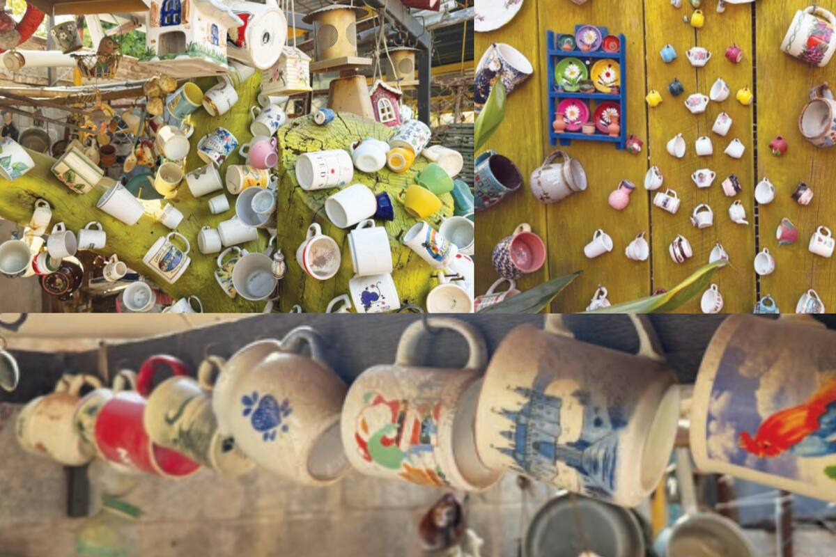 Manuelita lleva 50 años coleccionando tazas de todo tipo en Ciudad Obregón