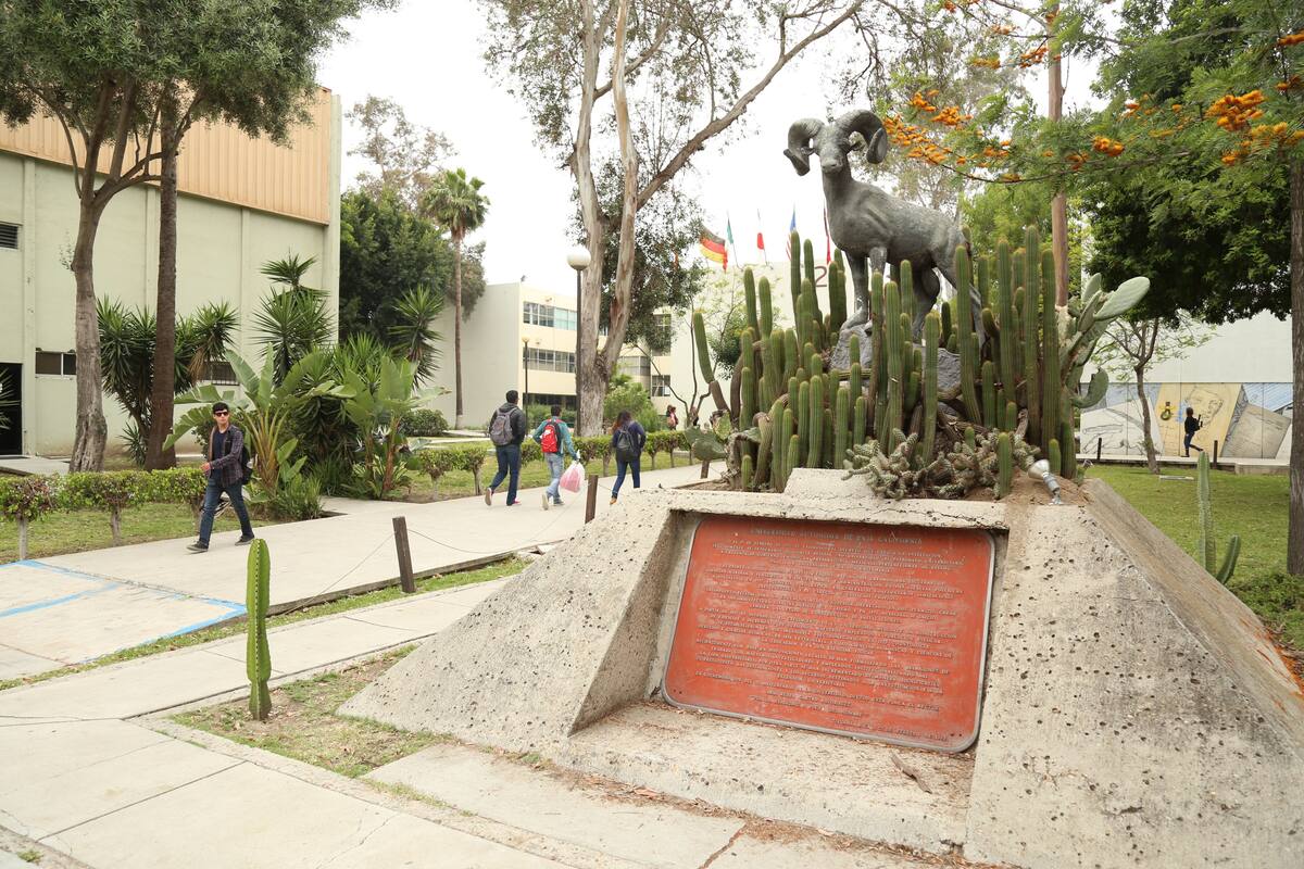 Continúan inscripciones para aprender idiomas en UABC