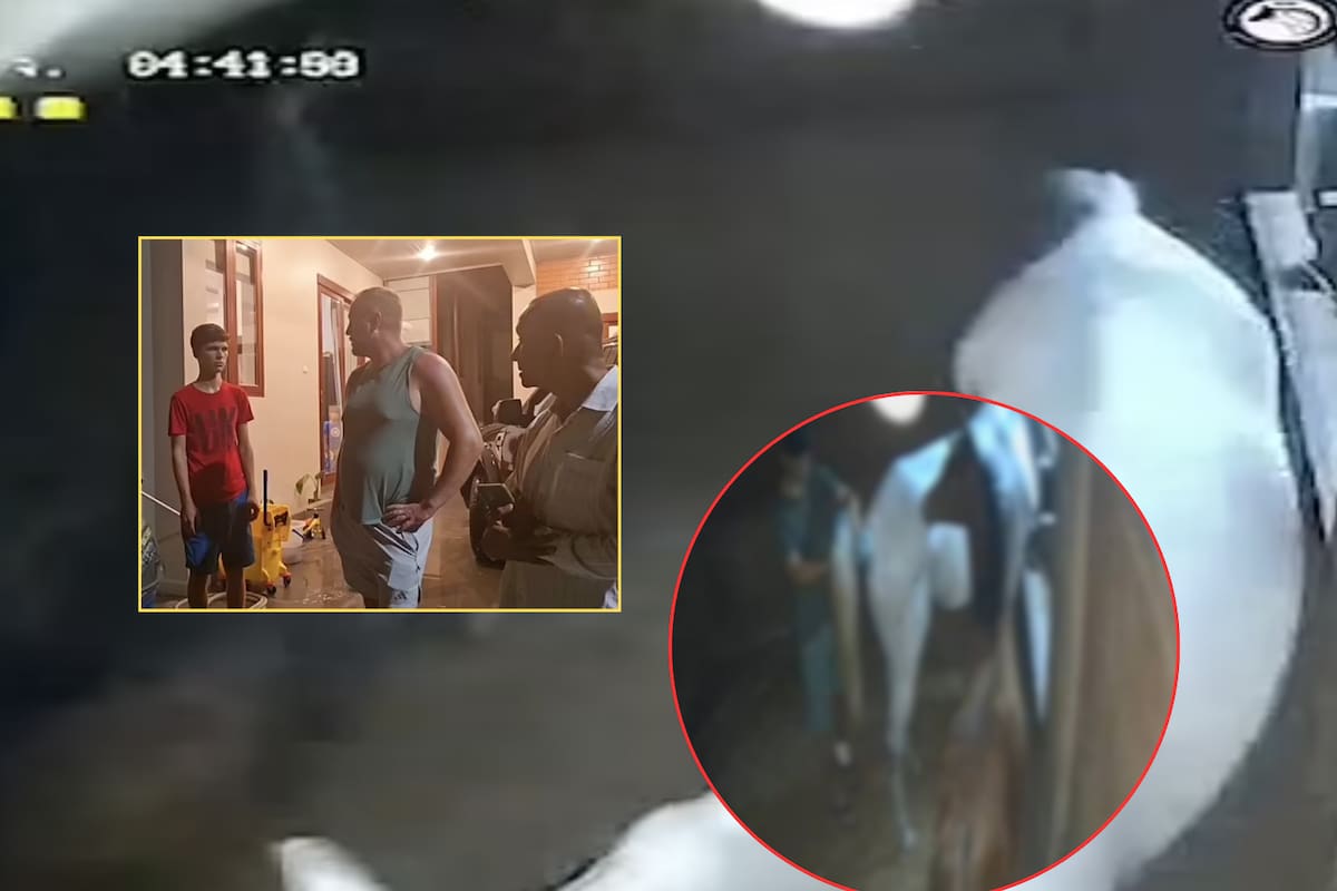 Arrestan a joven en Tailandia por abusar sexualmente de yegua embarazada