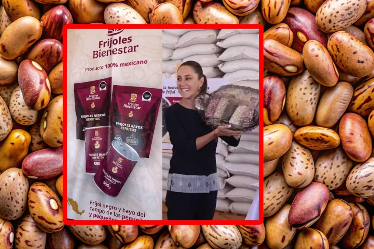 Frijol del Bienestar: Esto costará el kilo según anunció la presidenta Claudia Sheinbaum