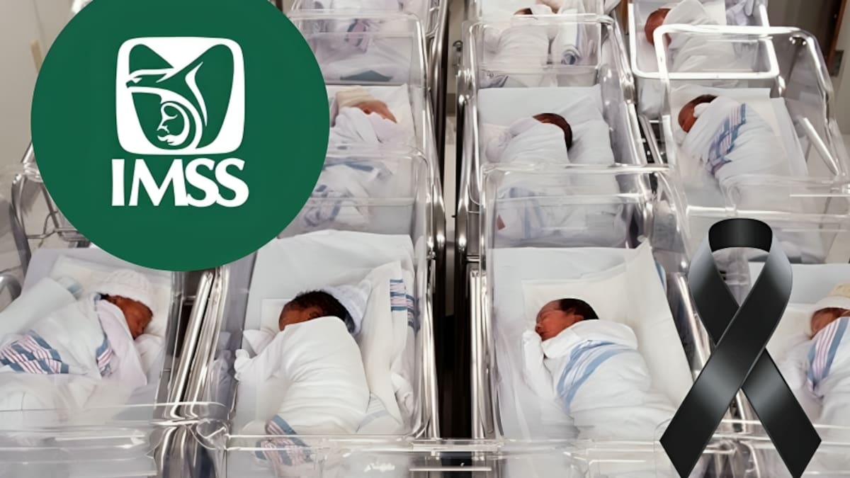 IMSS revisará sus 77 unidades neonatales tras muertes de recién nacidos en hospital de Guadalajara; investigan posibles infecciones