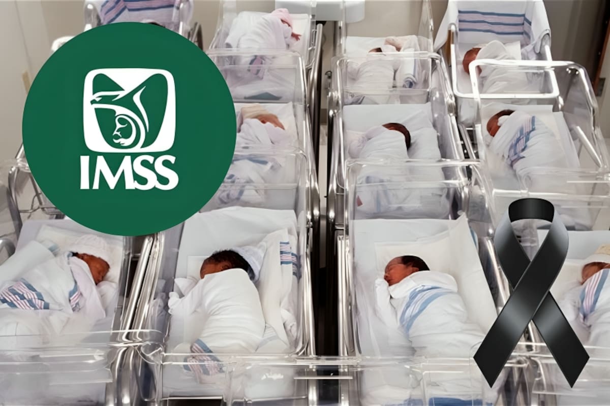 Padres de los cinco bebés fallecidos en el IMSS de Durango preparan denuncia ante la FGR para esclarecer las muertes, mientras autoridades investigan un posible brote hospitalario y la presencia de bacterias