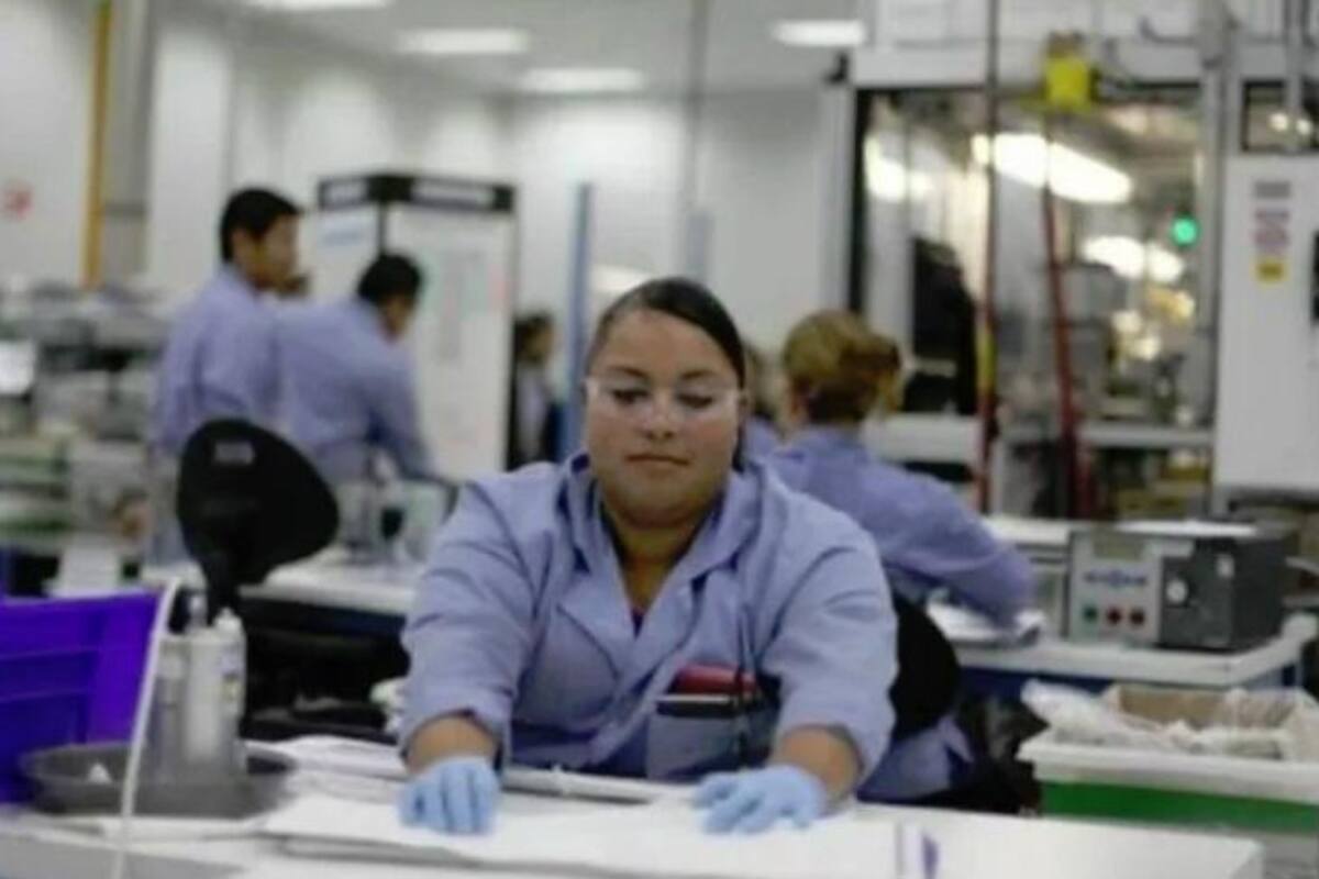 Esperan ocupar 70% de vacantes en segundo semestre de 2019