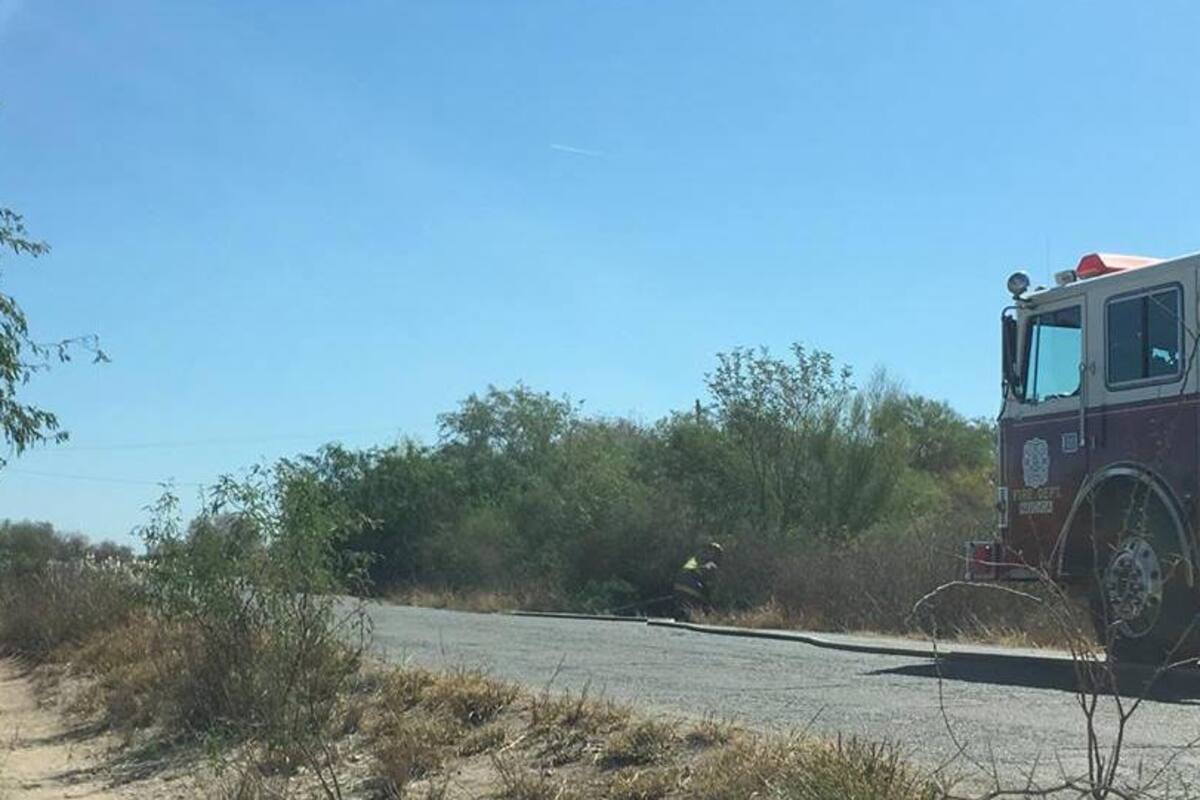 Abejas atacan a dos hombres en Navojoa; bomberos los auxilian