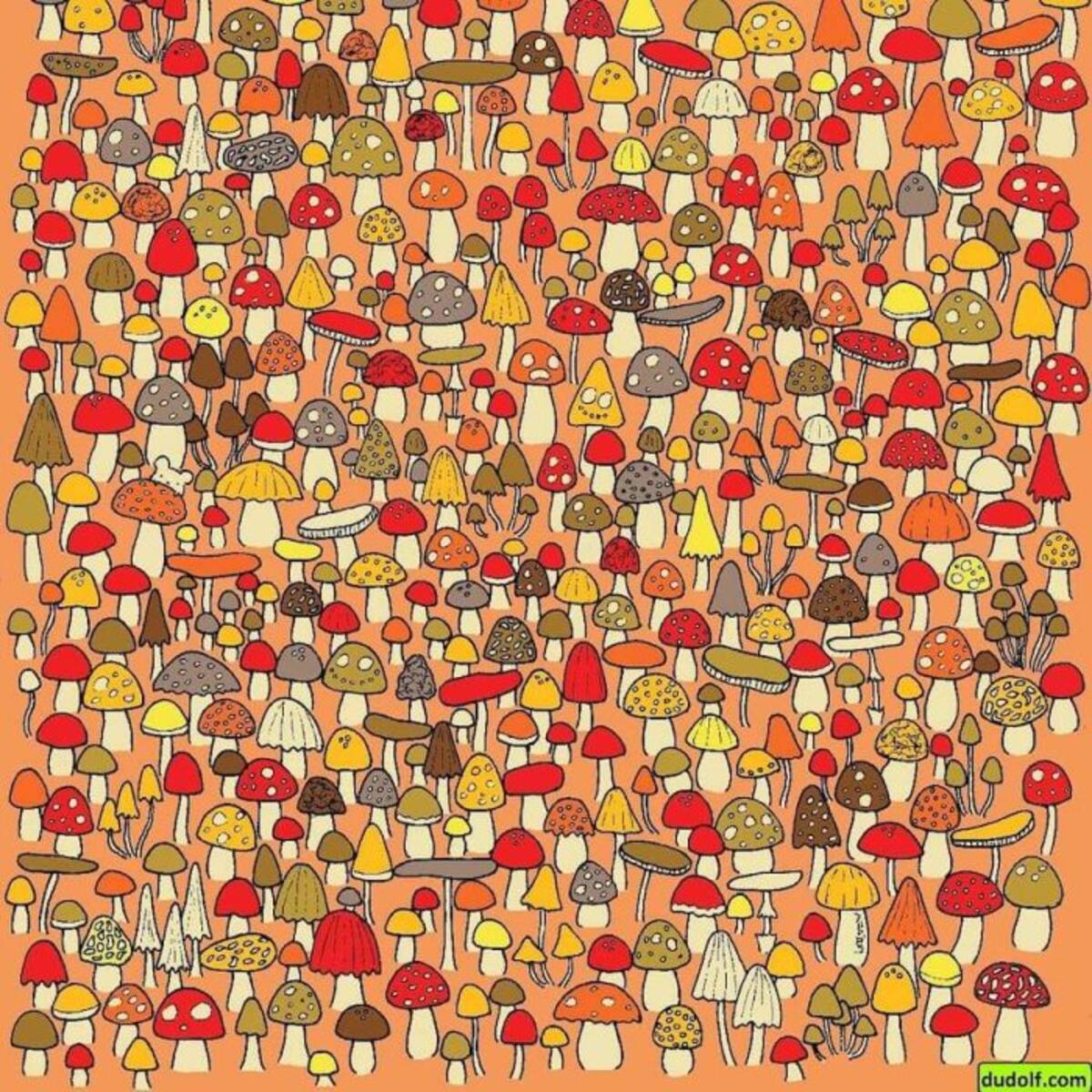 ¿Puedes encontrar el ratón escondido entre los hongos?