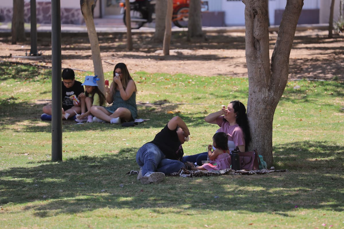 Clima en México: Alerta por la llegada de la tercera ola de calor