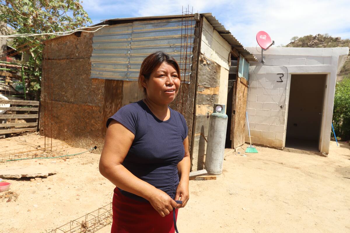 Hermosillo: Habitantes de la Invasión Altares necesitan láminas para proteger casas