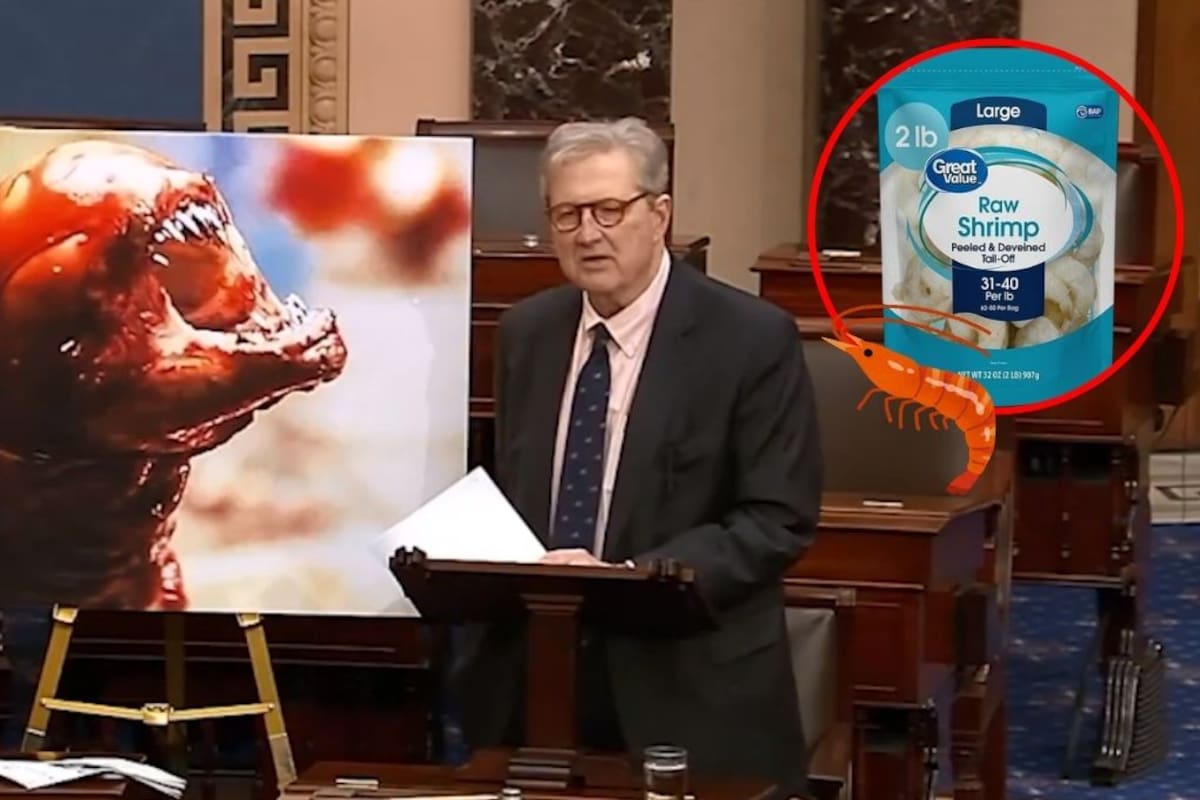 Senador John Kennedy advierte que comer camarón congelado importado de Indonesia vendido en Walmart podría ‘convertirte en Alien’, tras detección de cesio-137