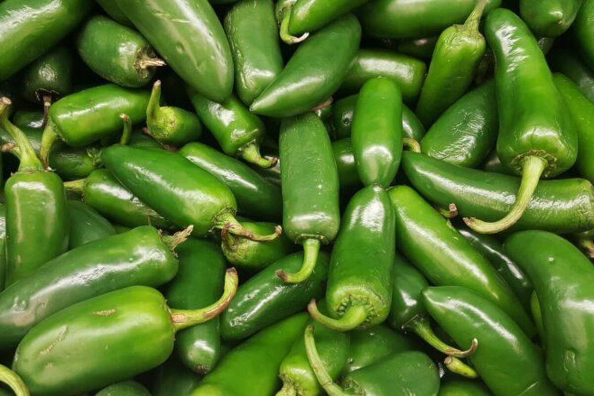 Estudian enzimas del chile para aplicarlas en alimentos y fármacos