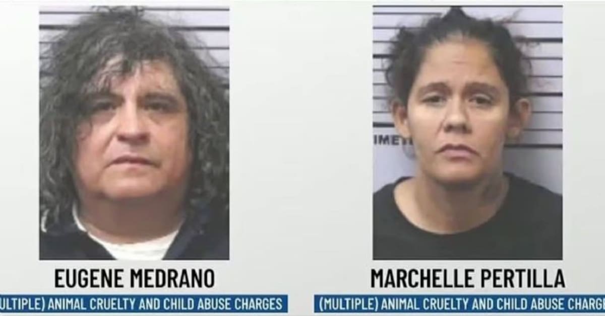 Cómo fue posible que una adolescente de 14 años viviera sola casi un año sin que nadie lo notara. Foto: Heraldo de México