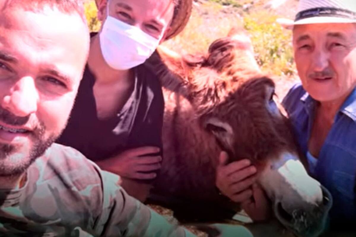 Se reencuentra con su burra tras dos meses de confinamiento