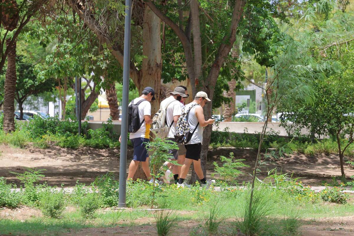 Pese a las lluvias, algunos estados tendrán ambiente caluroso a muy caluroso. | Banco digital GH