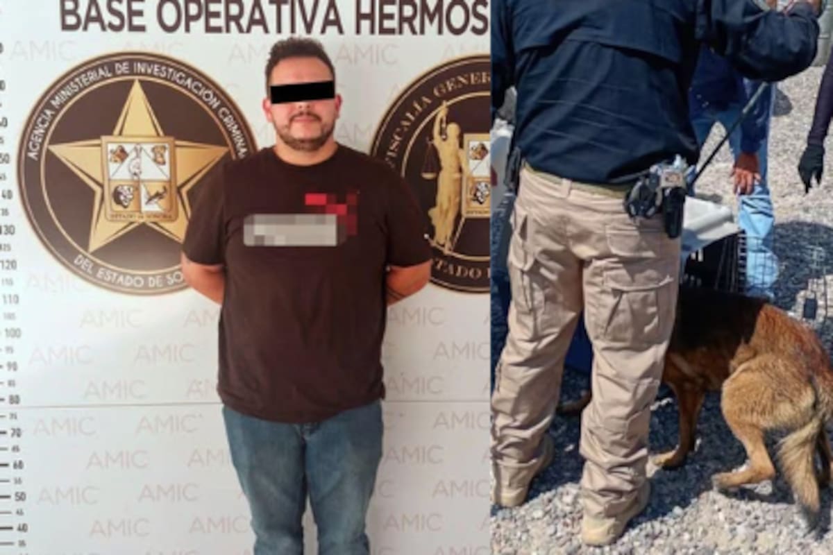 Horror en hotel canino de Hermosillo: vinculan a proceso al dueño por maltrato animal tras video difundido