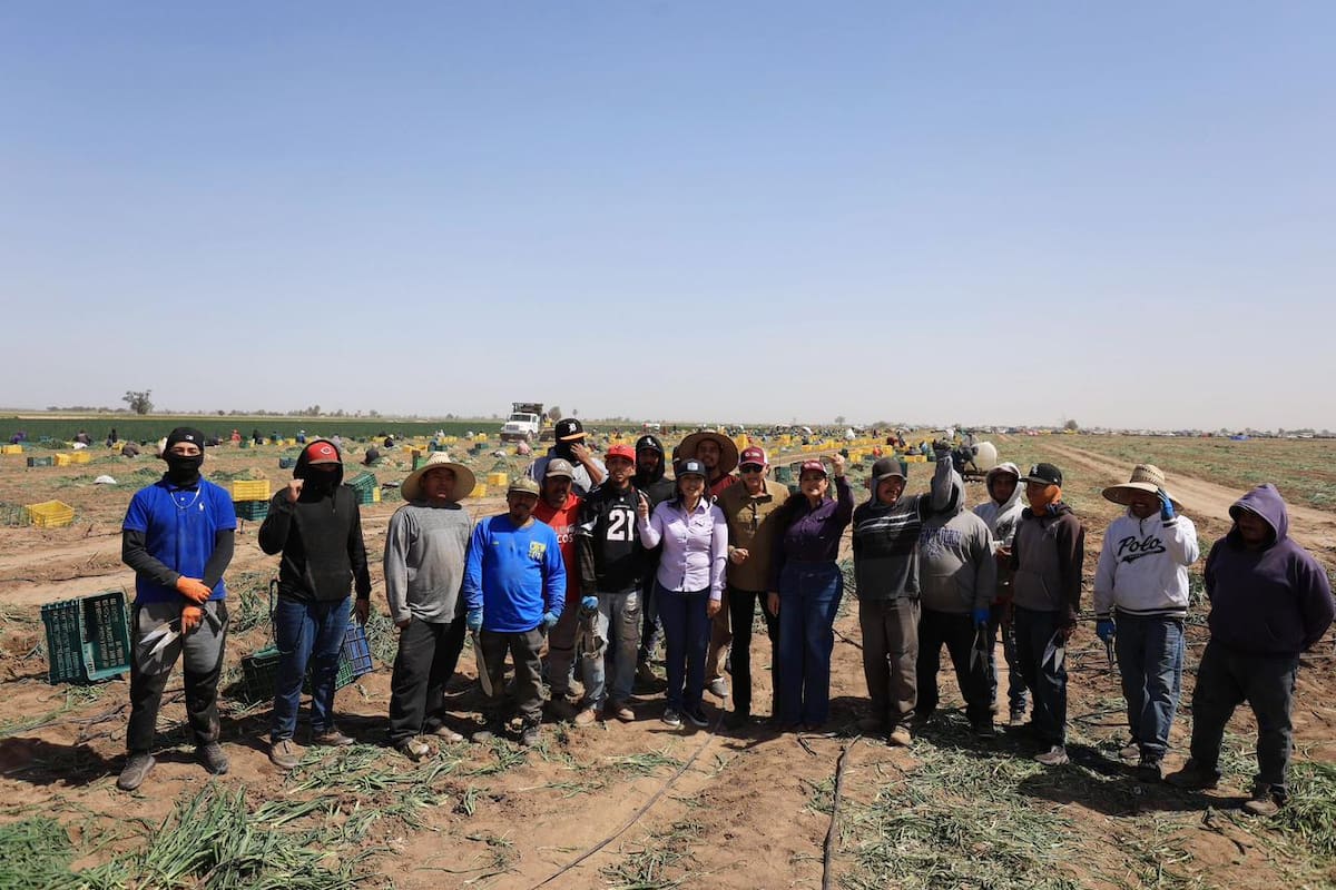 Reconoce Célida López la aportación de trabajadores agrícolas a la economía de Sonora