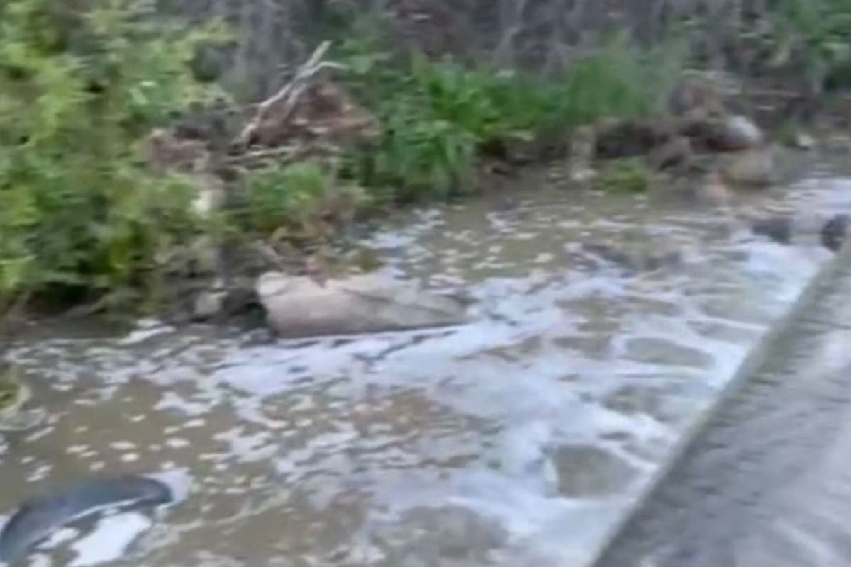 De nueva cuenta denuncian derrames de aguas negras en el Cañón Rosarito