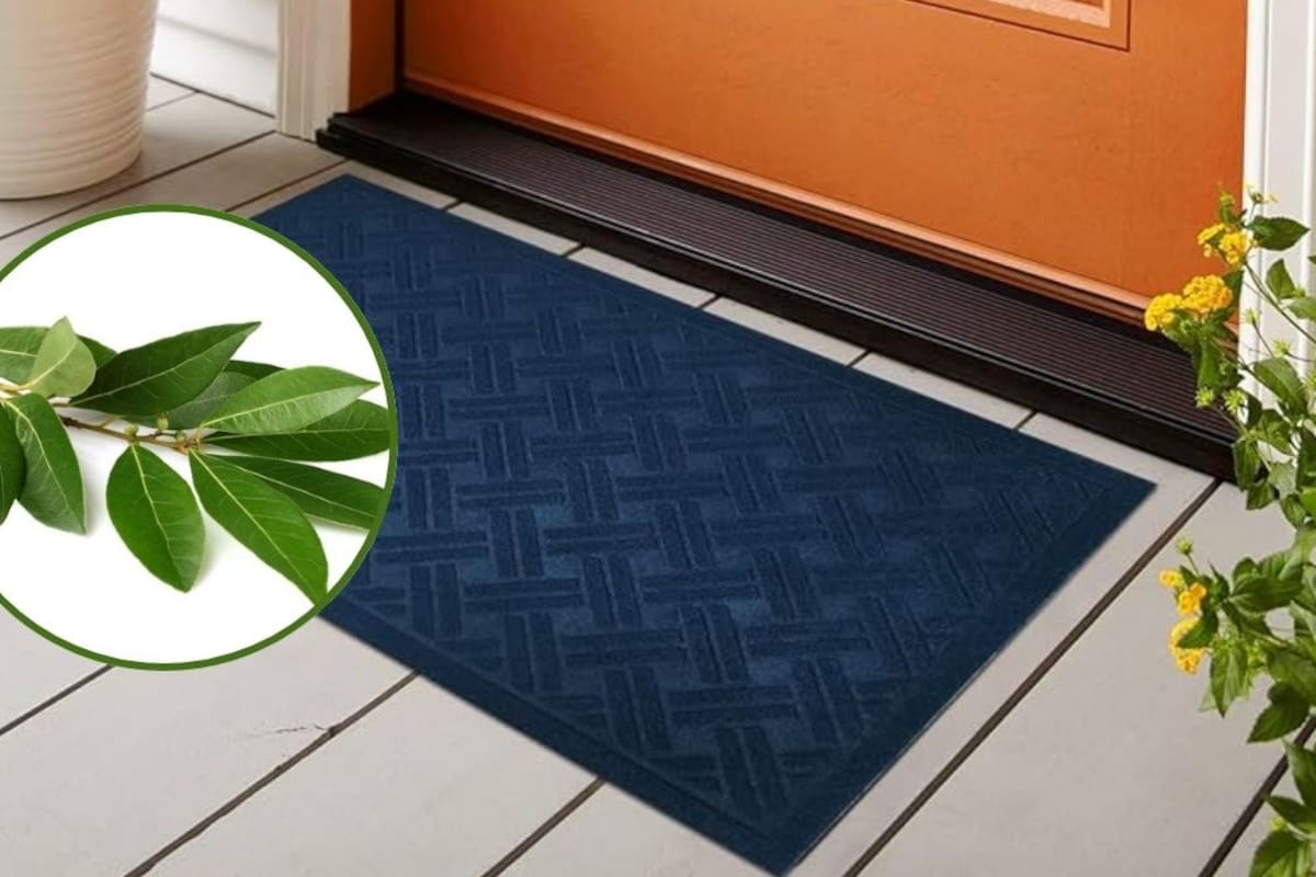 Por qué recomiendan poner una hoja de laurel debajo del tapete de la puerta del hogar