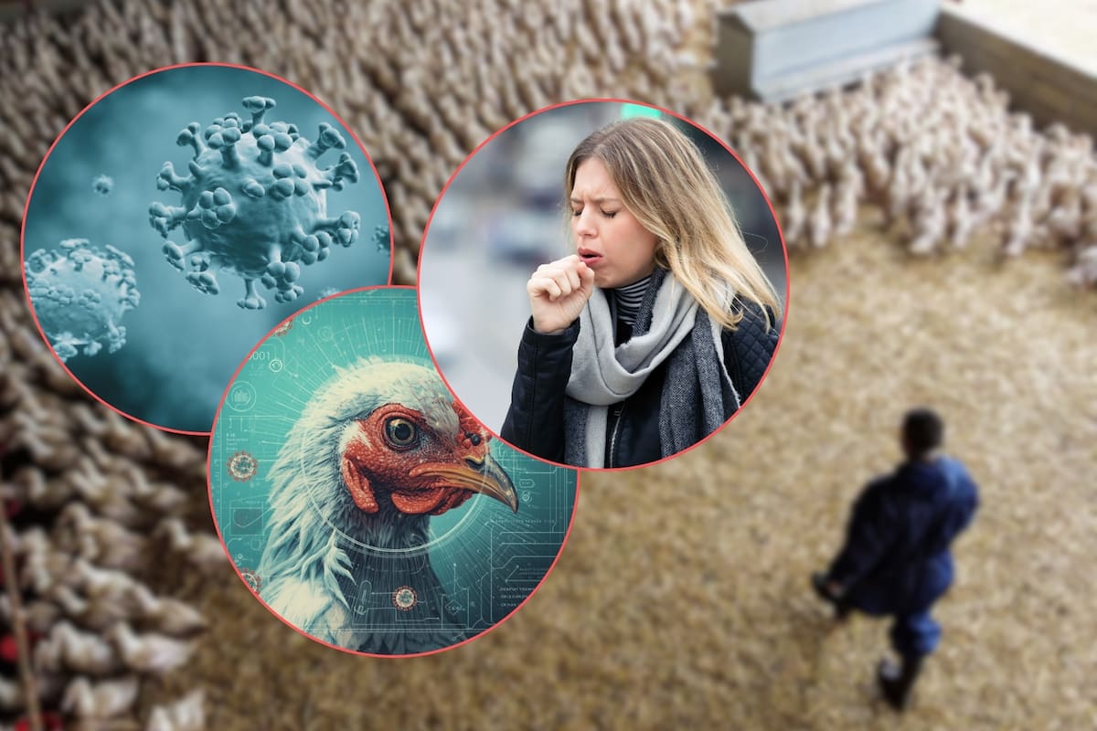 Instituto Pasteur de Francia advierte que pandemia de gripe aviar H5 podría ser más grave que el COVID-19