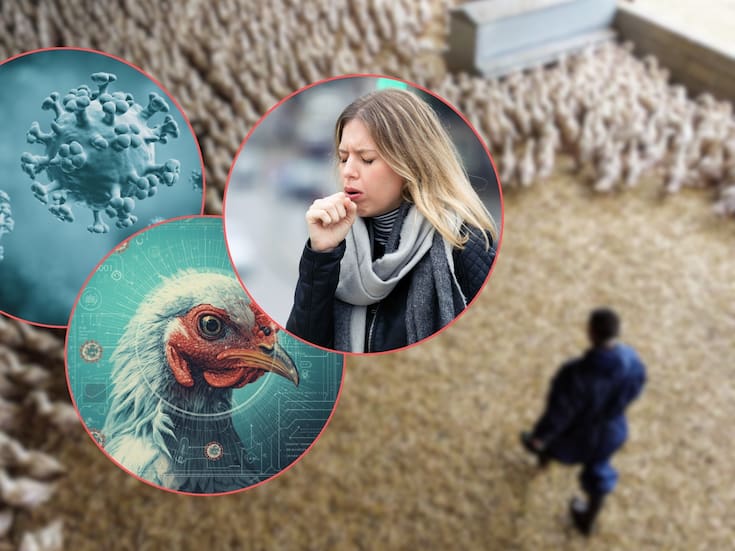 Instituto Pasteur de Francia advierte que pandemia de gripe aviar H5 podría ser más grave que el COVID-19
