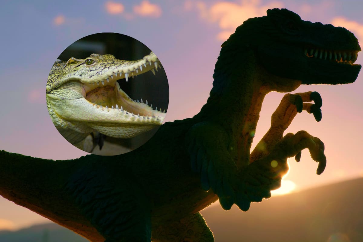 Descubren cocodrilo prehistórico capaz de devorar dinosaurios en Argentina