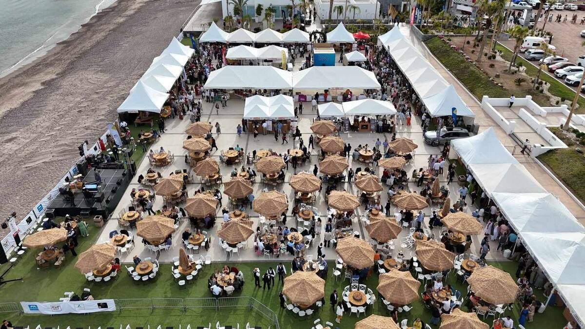 Vino Fest San Carlos. Foto: Julián Ortega
