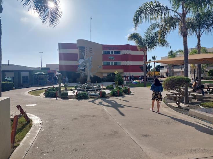 Buscan mejorar la salud mental de los estudiantes universitarios